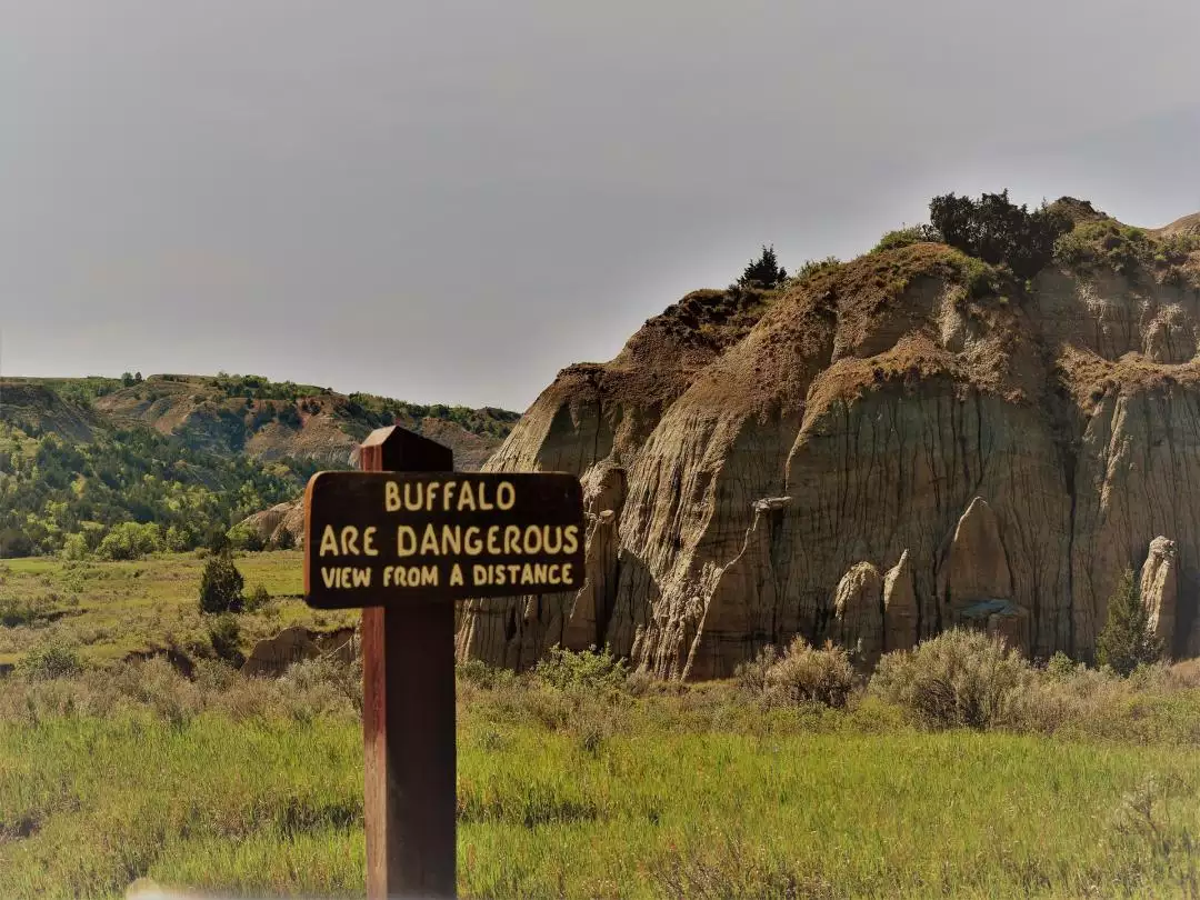 Buffalo warning, Badlands National Park image by dksecord from Pixabay